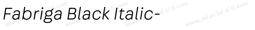 Fabriga Black Italic字体转换